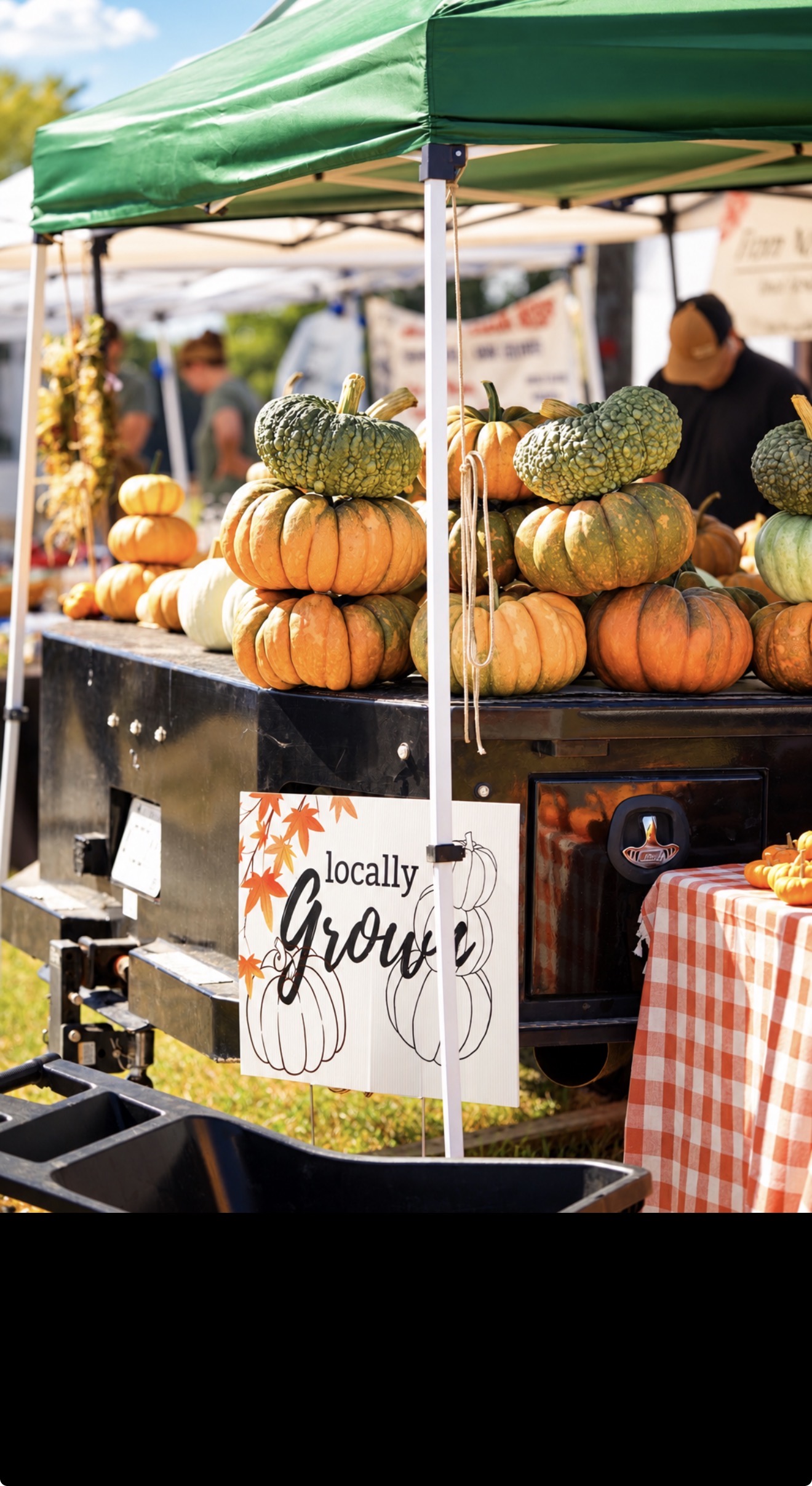 Seasonal market photography