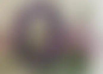 紫水晶｜Amethyst【功效/顏色/評級/脈輪/禁忌/五行】