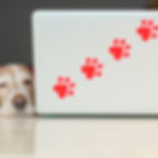 Personalized Pet Stickers