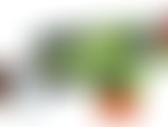 nerf slingfire - REVIEW