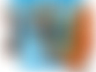 Nerf flip fury - REVIEW