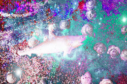 Galactic Sharks - 31