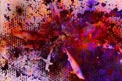 Galactic Sharks - 21