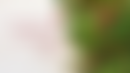 O Natal do Apóstolo Paulo