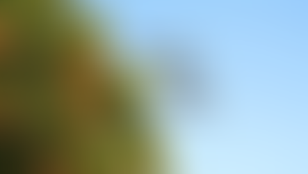 Criados para boas obras