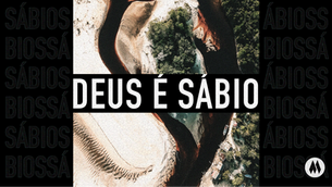 Atributos de Deus: Deus é Sábio