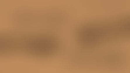 Levem o fardo uns dos outros