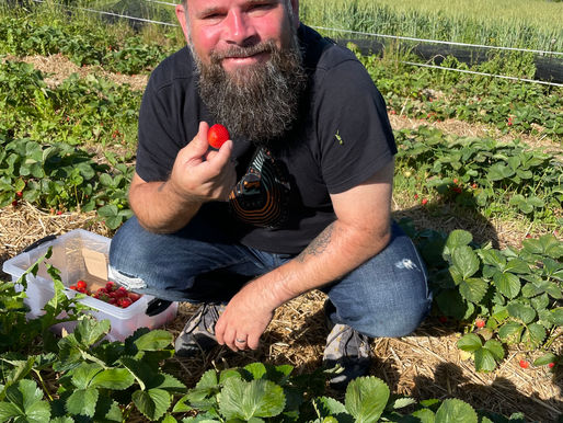 Erdbeeren und Aprikosen // Fraises et abricots