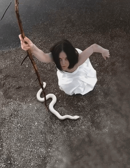IMG_6108.gif