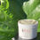 Thumbnail: Hair & Body Moisturizer