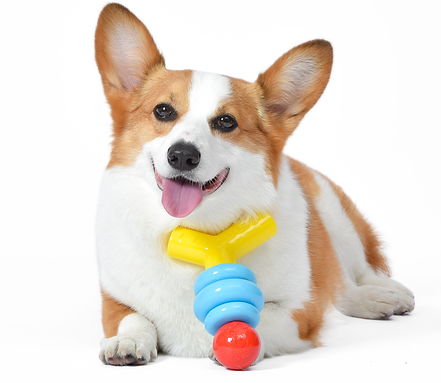 FFP18417_FisherPrice_StackNRelax_ResilientChewer_Bsc05.png