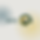 website intro.png