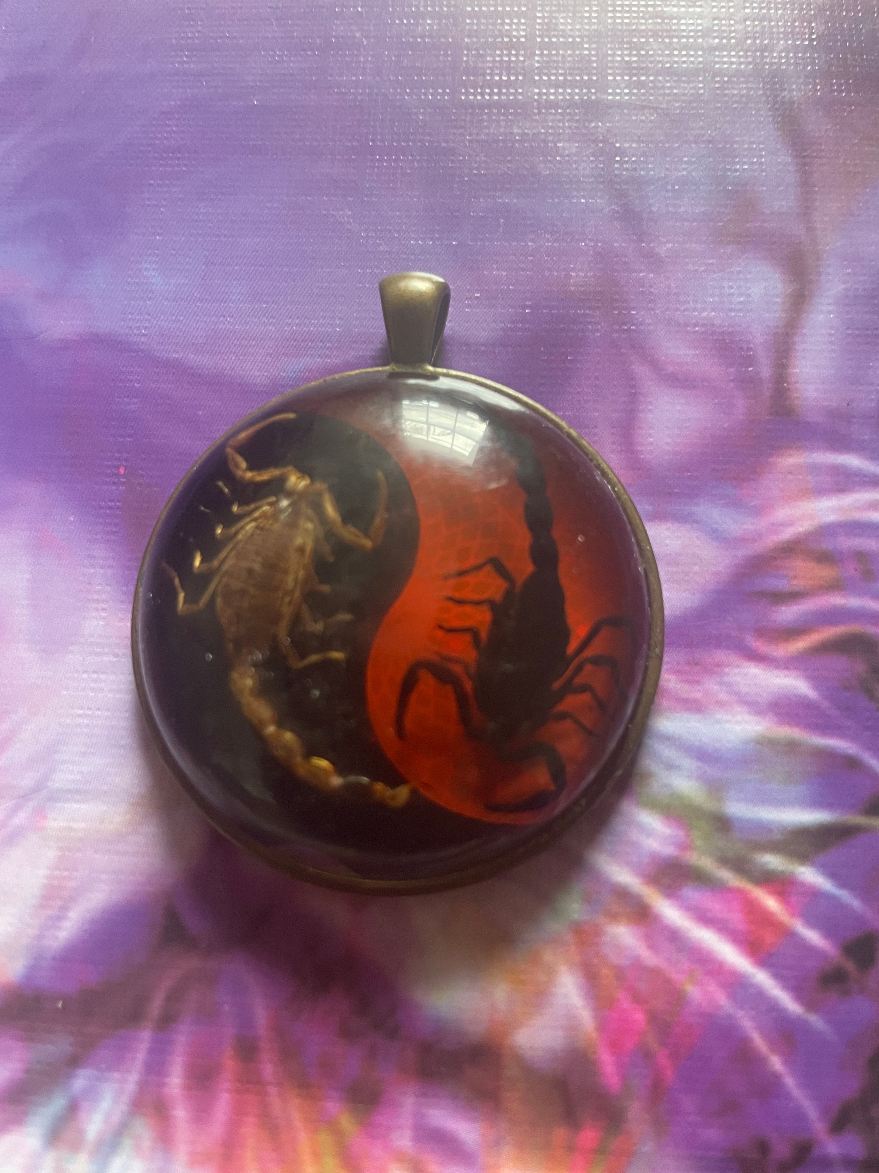 Real Scorpion Resin Pendant
