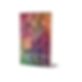 3d book Invisible but seen small.png
