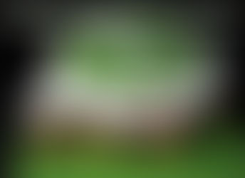 Telefonunuz için ilginç özelliklere sahip WhatsApp