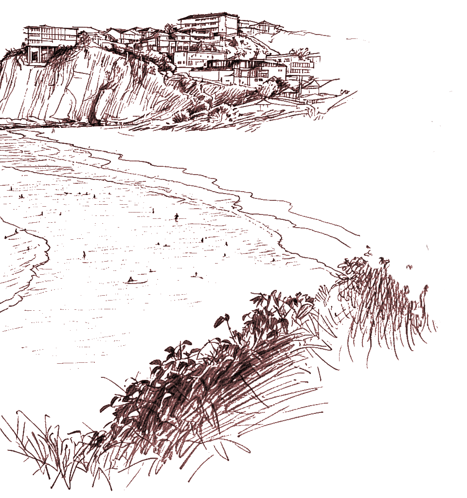 freshwater_line_drawing 2.png