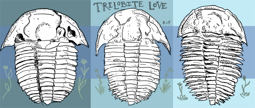 Trilobites love
