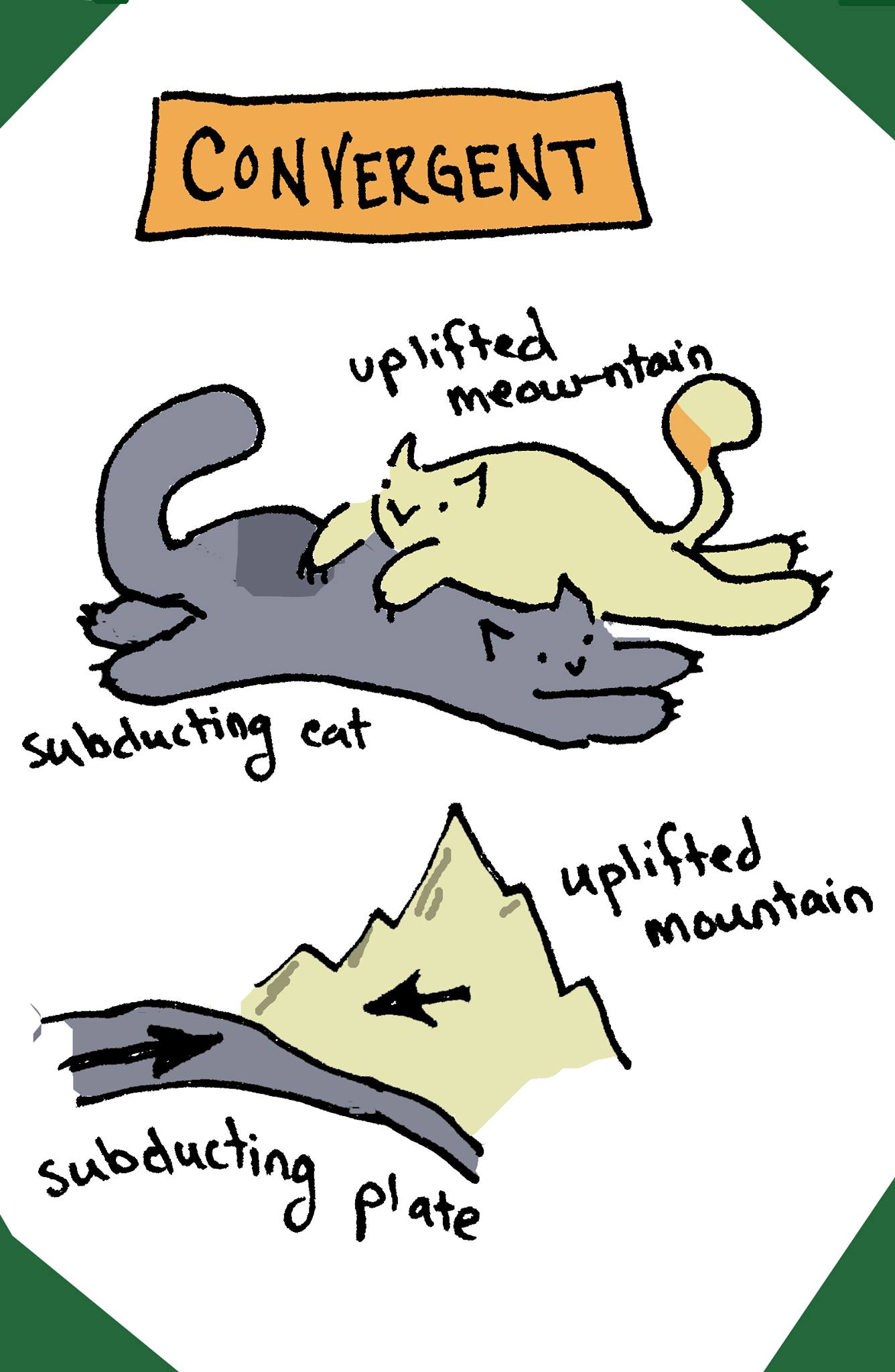Convergent Cats
