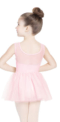 Pink leotard with skirt