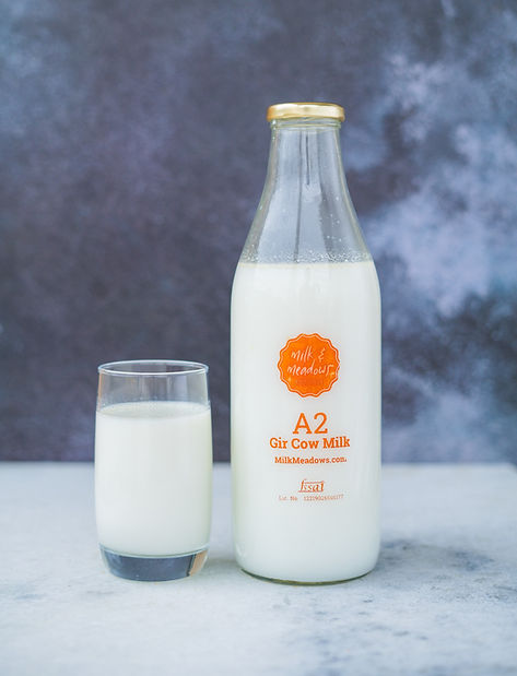 Milk-Meadows-Gir-Cow-A2-Milk.jpg