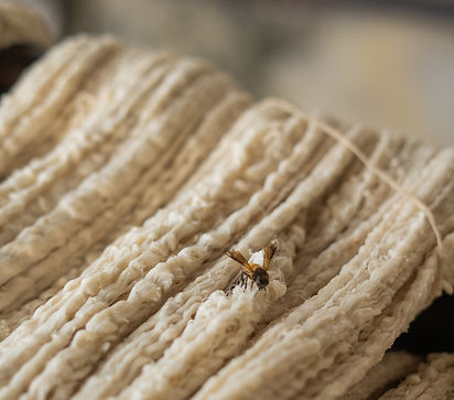 AyurSatwa-Medicinal-Dyeing