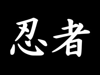Ninpo: The Life of the Ninja
