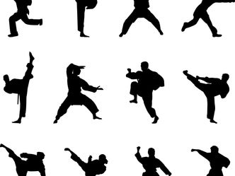 Traditional versus Modern Martial Arts