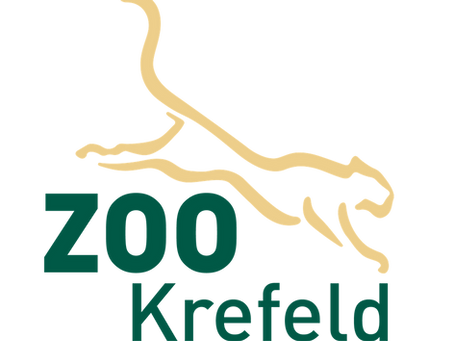 Noch Plätze frei am 29. Juni 2024!