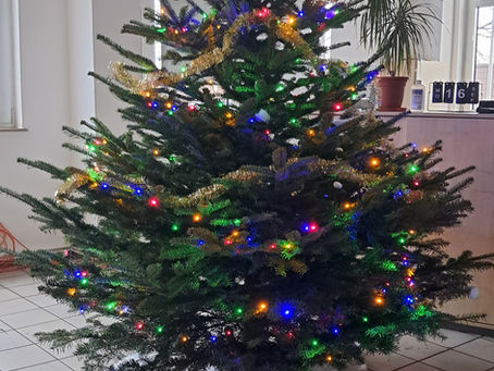 🎄 Weihnachtszauber kehrt ein! 🎄