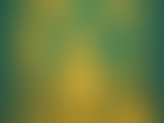 🌟 Was Seelen – menschliche und tierische – wirklich brauchen 🌟