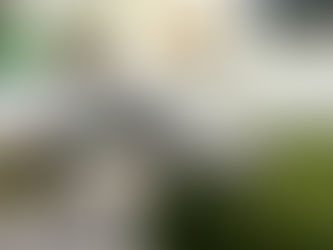 Living in La Laguna as a Remote Worker (Tenerife Guide)