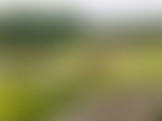 遠くで鳴っている感覚