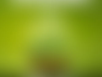 Prefeitura de Tarauacá leva atendimento de saúde e cidadania às comunidades rurais do Rio Muru