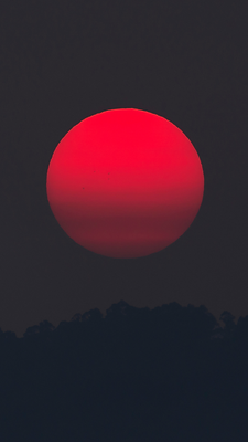 Untitled design (2).png