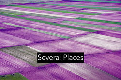 Several Places_EN