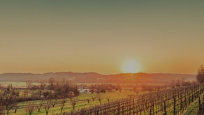 Sonoma Valley Califórnia: O Que Fazer + Roteiro de 3 Dias