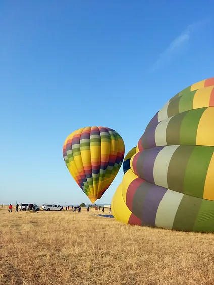 Balloon ride - Napa Valley