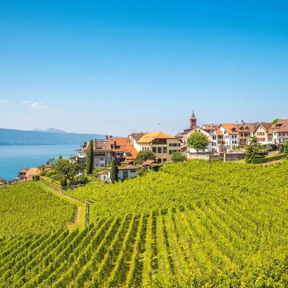 Lavaux -lake Leman