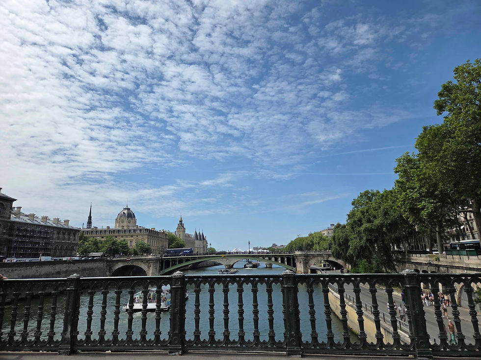 View over the Seine in central Paris from a bridge, with historic buildings, trees, and blue sky.