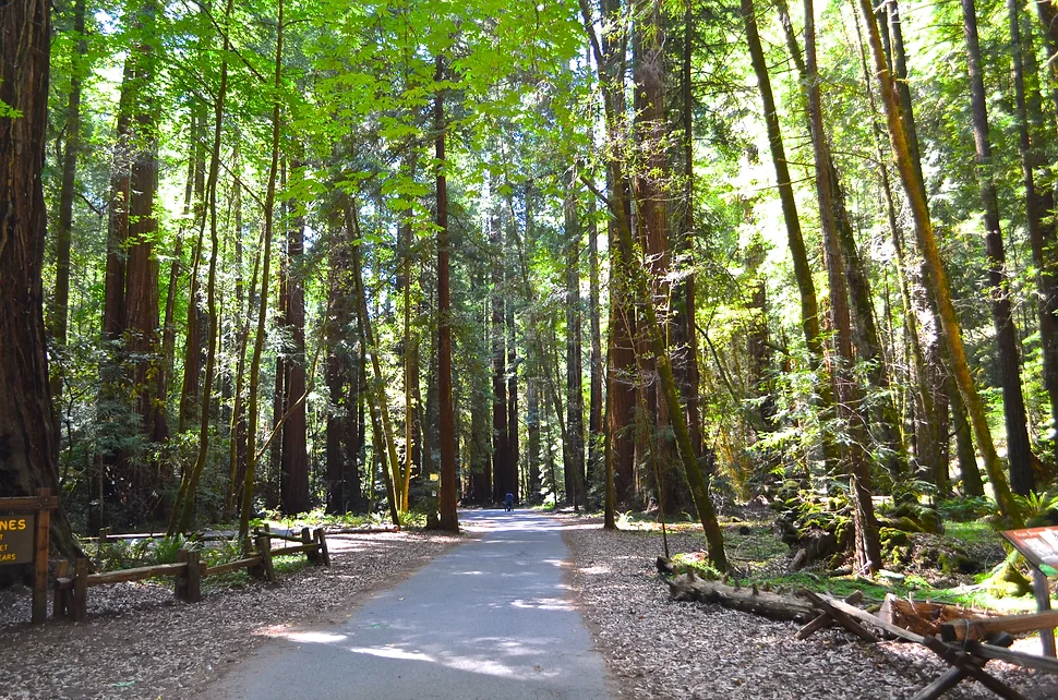 Parks Sonoma Valley