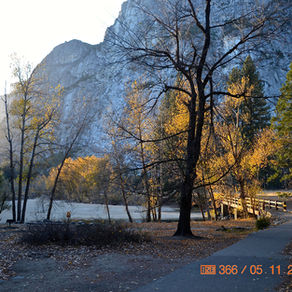 Yosemite Park: Where Giant Sequoias and Yosemite Falls Await
