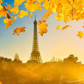 Paris in the Fall: Romantic Things to Do, See & Savor