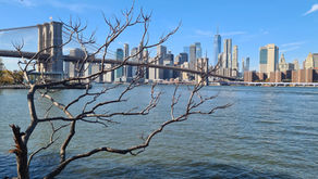 Nova York em 2025: O Guia Definitivo do que Há de Novo (e do que Nunca Sai de Moda)