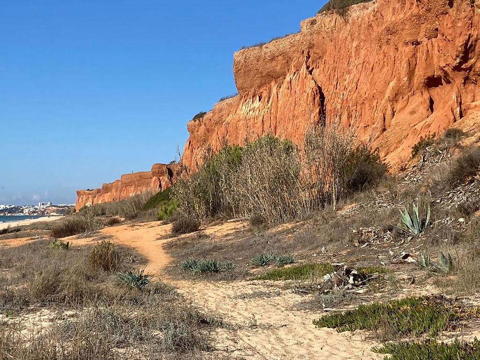 Red sandstone cliffs at Praia da Falésia near Albufeira, Algarve, with a sandy coastal path in the foreground