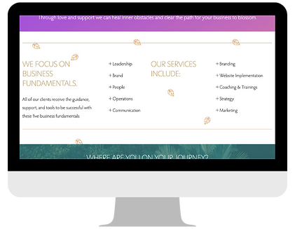 Megan Schiller Website Design LM services