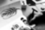 20160305_Biodiversity Institute workshop (20)_cr_bw_sig.jpg