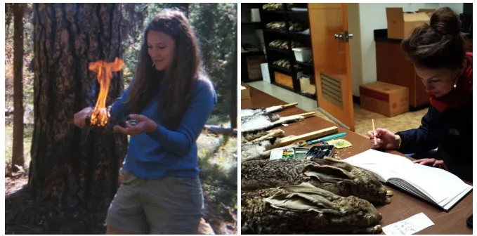 Screenshot of article mentioned in this post. Follow link in post for full text. Title: Graduate school is a great thing...if and when it is. Image: two images of the author. Left image shows a young woman with long hair holding a burning bundle of wood. She stands in a sunny forest. Right image shows a somewhat older woman seated at a table, sketching a pair of jackrabbit (aka hare) specimens.