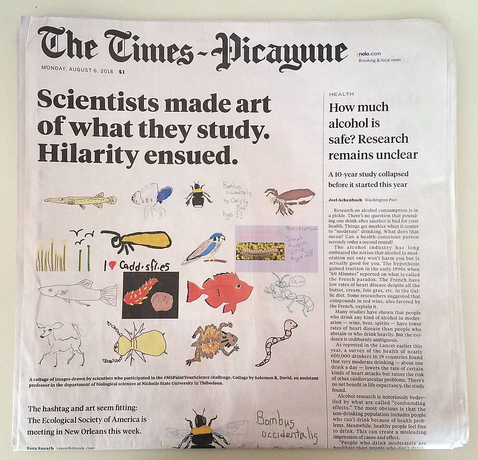 Photo of a front-page article about scientists drawing their study species. The front-page image includes a lot of colorful sketches.