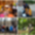 Grid of four photos. Each photo shows the same woman teaching people. Three of the four photos are of educational activities outside. One image is in a library.