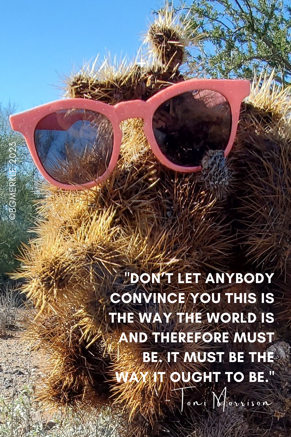 Close-up photo of a pair of pink-rimmed plastic sunglasses positioned on the top of a prickly, dead-looking cholla (pronounced choy-uh) cactus. The scene is sunny/brightly lit. The sunglasses look small, perhaps they are children's sunglasses. Over top the photo is a quote from Toni Morrison which reads: "Don't let anybody convince you this is the way the world is and therefor must be. It must be the way it ought to be."
